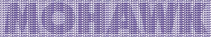 Hidden Camp Logo