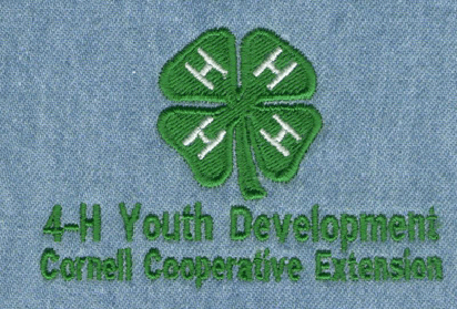 4-H
